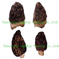 Dried morel mushroom