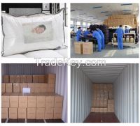 Down and feather filling pillow insert with high quality casing