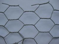 PVC Coated Rabbit wire mesh/chicken wire/ Hexagonal wire mesh From Direct Manufacturer