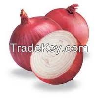 Fresh onion