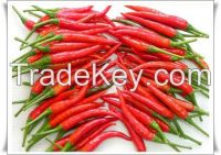 Chilli pepper; Red chily