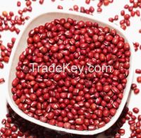 Adzuki Beans Small Red Beans With Good Quality 