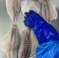 Halibut Fish Halibut Fish