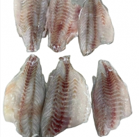 Halibut Fish Halibut Fish