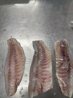 Halibut Fish Halibut Fish