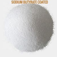 Sodium Butyrate (Coated