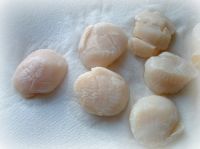 Scallops (U/10 Dry