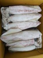 Frozen Squid,Whole Clean, Tubes &