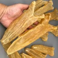 Fish Maw,Frozen & Dried | Premium