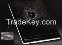 INDUCTION COOKER