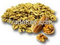 Light walnut kernels