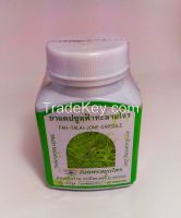 Thai Herbs Fah-Talai-Jone Capsule Thanyaporn Herbs Brand 100 Capsules