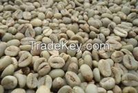 Coffe Robusta Green Bean not premium