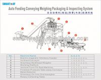  Multihead Weigher VFFS Machine Packing Line SW-M10V42 From China