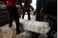 Sisal Fiber