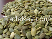 Pumpkin Seed Kernel From China