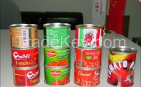 canned tomato paste From China