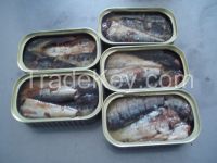 Canned Sardine Fish Of Chinese Supplier With Cheap Price