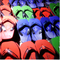 Amphibian Slipper