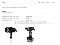 Intelligent Electric Actuator
