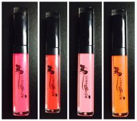 2016 Professional Factory OEM Lip Gloss High Shine Lip Gloss 3.0g