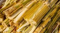 Sugarcane Bagasse / Sugarcane Megass / Sugarcane Residue Pulp