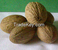 Nutmeg seed dried