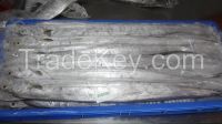 Frozen Ribbon Fish