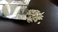 Mahogany seeds