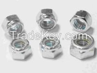 Hex Nuts