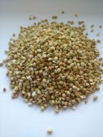Offer Hulled Buckwheat, Roasted Buckwheat, Buckwheat husk From Poland
