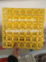 plastic egg tray mould