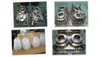 plastic thin wall mould