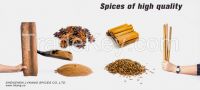 Cinnamon/cassia tube/powder/selected/ground