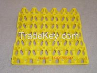 plastic egg tray for 30 chicken eggs