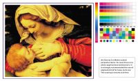 Art Canvas (Waterproof)