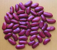 dark red kidney beans