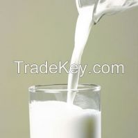 Powdered Milk From South Africa