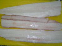 Sea Frozen Blue Shark Fillet