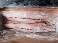 Frozen Chinese Bronzie Shark Fillet