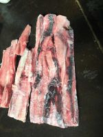 Frozen Shark Meat Fillet