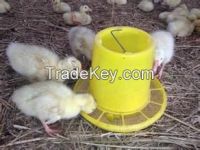 poultry feeders