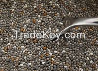 Chia Seeds