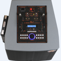 12 Inch Portable Speaker Trolley Amplifier