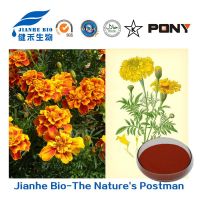 Marigold Flower Extract Zeaxanthin Lutein