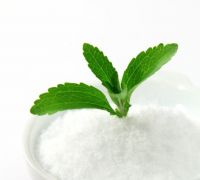 Natural Sweetener Stevia