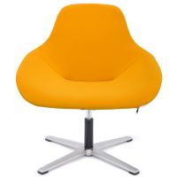 Leisure Chair 