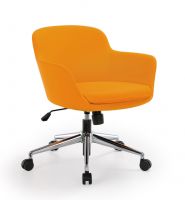 Leisure Chair 