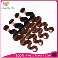 Ombre Brazilian Hair Extension Natural Color 100% Brazilian Virgin Human Hair Body Wave Hair Weft