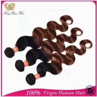 Ombre Brazilian Hair Extension Natural Color 100% Brazilian Virgin Human Hair Body Wave Hair Weft